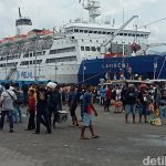 Jadwal KM Lambelu Agustus 2025 dari Balikpapan ke Sulawesi dan NTT