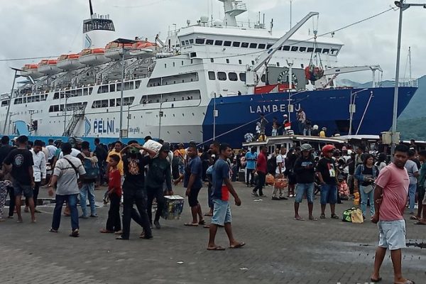 Jadwal KM Lambelu Agustus 2025 dari Balikpapan ke Sulawesi dan NTT