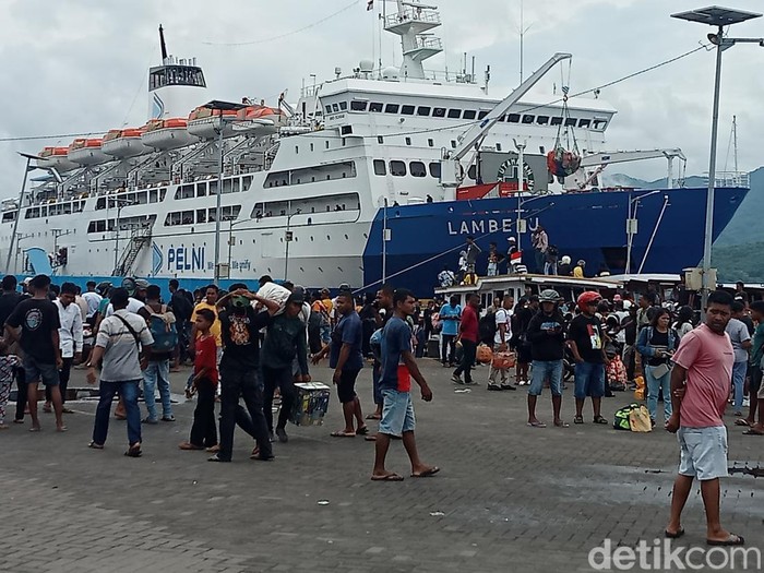 Jadwal KM Lambelu Agustus 2025 dari Balikpapan ke Sulawesi dan NTT